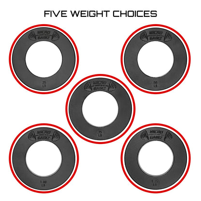 Micro Gainz Olympic Size Fractional Weight Plates Set of 10 Plates .25LB-1.25LB w/ Bag