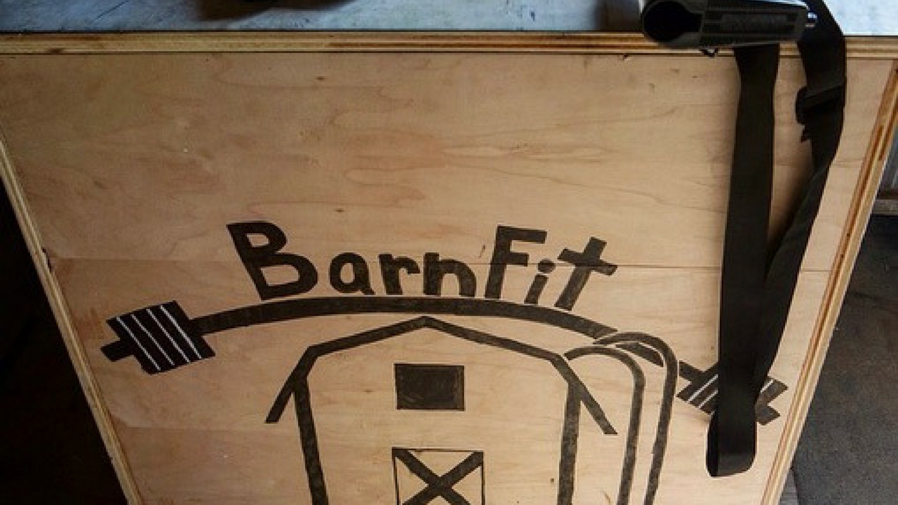 The BarnFit Gym logo